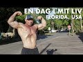 USA-TUR! VLOG 2: Shopping, Min cardio strategi og en anderledes Bryst-Træning!