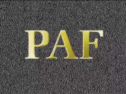 Paf83 - PAF83 Logo 2008г
