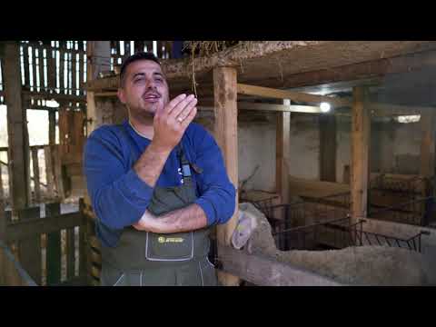 Naša priča ep. 328 02.12.2021. Miloš Petrović, Klek, ovčarstvo, virtenberg