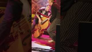 Brian Setzer 2017 - Fishnet Stockings