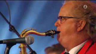 Wizex 2016   Miss Decibel