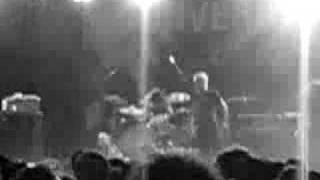 CONVERGE - Locust Reign
