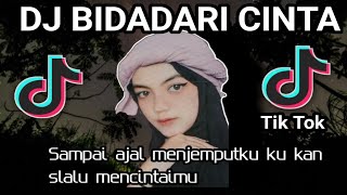 Download lagu DJ BIDADARI CINTA ( Sampai ajal menjemputku ku slalu mencintaimu ) Remix Full Bass mp3
