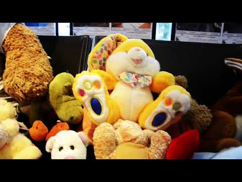 LANCER DE PELUCHES 2018 : LES RAPACES ET CENTURY 21 S'ENTRAÎNENT !