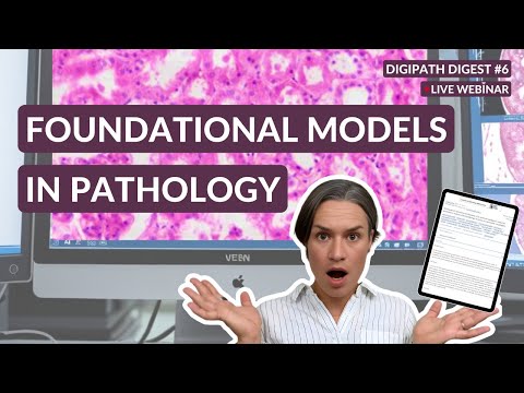 Foundation Models in Pathology - High Level Overview