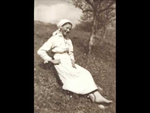 Šetal sam se gore dole