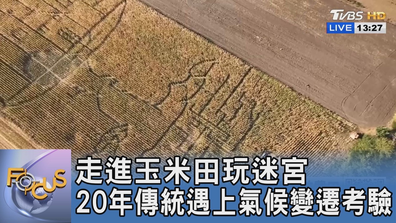 走進玉米田玩迷宮！匈牙利純手工開闢2.5公里路線 20年傳統遇氣候考驗