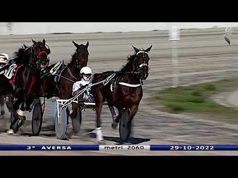 Aversa trotto 29 Ottobre 2022 - 3° Corsa