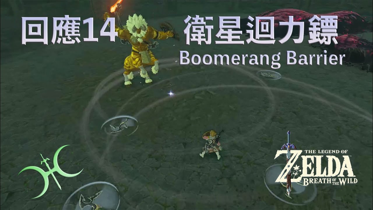 回應14 - 最強防護罩！「環繞型衛星迴力鏢（Circling/Satellite Boomerangs）」