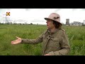 Zeldzame natuur tussen de zware industrie van Moerdijk