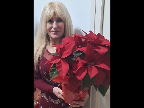 UNA NAVIDAD DIFERENTE. UNA NUEVA REALIDAD