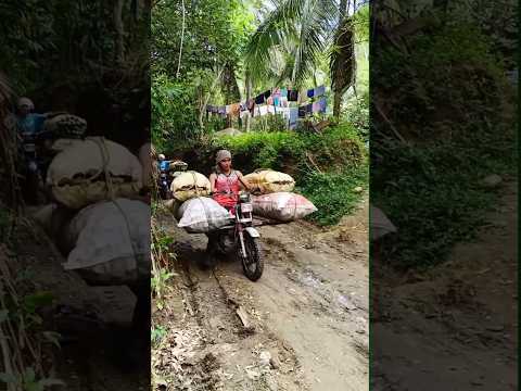 Transport 7 Sacks of Copra#Copra