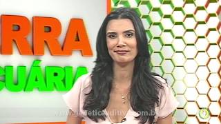 Miniatura do vídeo