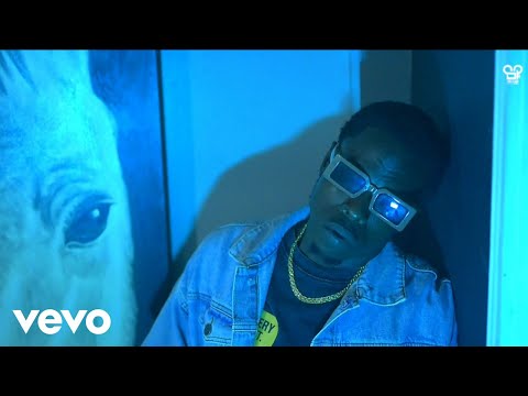 Berrie - Henny (FLOW) (Official Music Video)