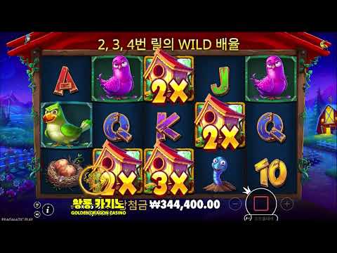 트위티하우스 슬롯 닭집 슬롯 프리스핀 리뷰