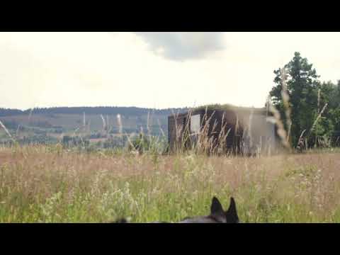 Biodomek  szumi wśród traw