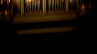 Sieben - Virgin In The Green @ Summer Darkness Festival, Utrecht, NL, 07/08/2009