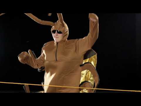 Schädlingsprävention - Unternehmensfilm Walter Grönhoff Schädlingsbekämpfung GmbH