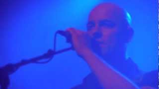 Dominique A - Vers le Bleu - Live Full HD 1080p