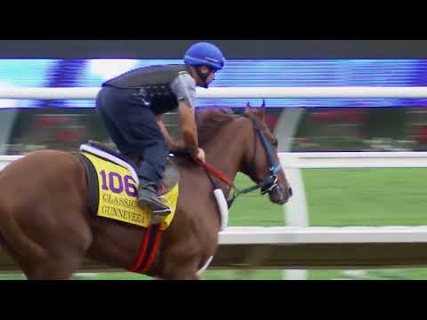 2017 Breeders' Cup World Championships - Gunnevera