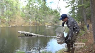 Trout Stocking with Mass Wildlife Division | Connecting Point | May 20, 2019