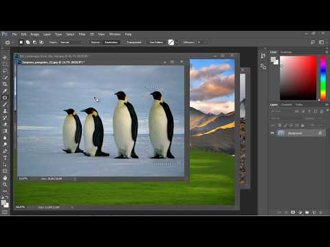 Photoshop Tutorial for Beginners 10 Patch Tool