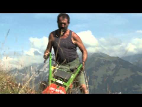 DIE WIESENBERGER v.o. sous-titres français