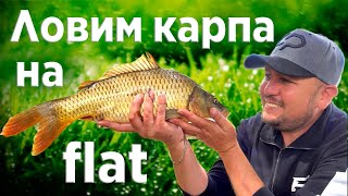 Ловля карпа фидером на флэт