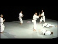 Bunkai Heian Godan