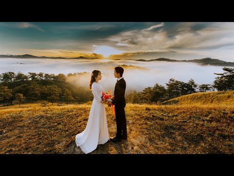 Cream Wedding Photography Limited video.