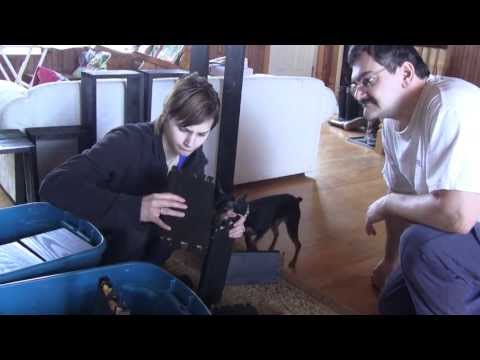 The Woodpecker Ep 28 DVD Modular Bookshelves