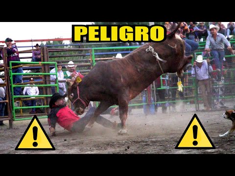 PARTE 2 ¡LOS TOROS MAS BRAVOS Y PELIGR0SOS DEL JARIPEO!