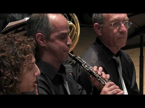 Bizet / Symphony in C major / Israel Camerata Jerusalem