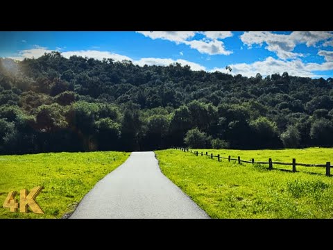 I Walked LA's Most Pristine Canyon ⛰️ Topanga State Park 4K