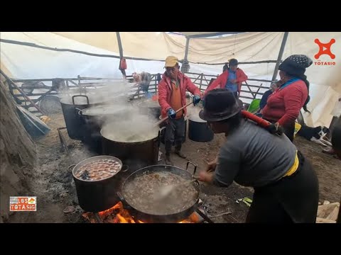WEDDING PREPARATIONS FOR THE MARRIAGE OF: NOÉ AND LUCRECIA //YACUBAMBA PUJILÍ COTOPAXI 2022//