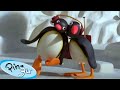 Pingu S Boogaloo Fisher Price Cartoons For Kids
