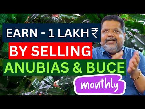 WIE ZÜCHTEN SIE EXOTISCHE PFLANZEN ZU HAUSE UND VERDIENEN MIT IHREM AQUARIUMHOBBY EIN MINDESTENS ...