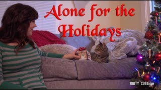 Alone For The Holidays -  a Hallmark Christmas parody