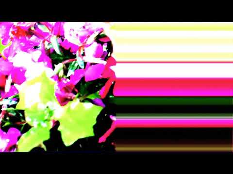 Apple Schorle - HATER SIND... (Official Video) prod. Malu