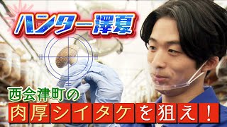 【シイタケハンター澤夏爆誕！！】肉厚シイタケを狙え！！