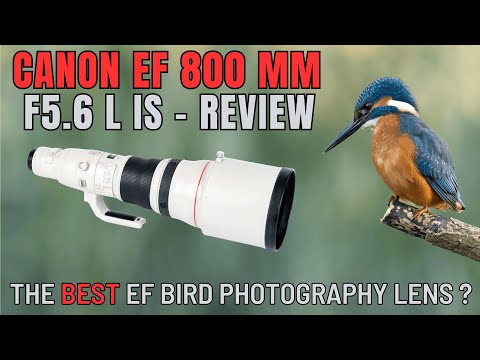 Video thumbnail for Video Review 2