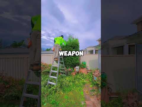 At my 40th birthday party, my brother Andrew crushed my 14-year-old son's ribs with a baseball