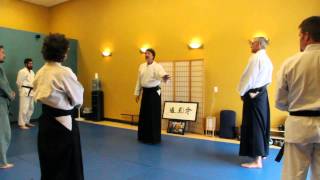Aiki-Lab non-technique aikido training for beginners.  An overview