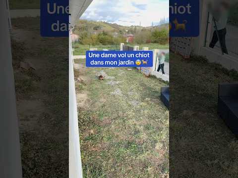 La suite demain dans la partie 2 😨 #redog #pourtoi #malinois