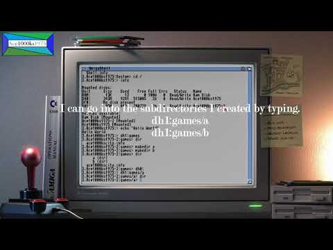 AmigaDos Commands on Workbench 3.1