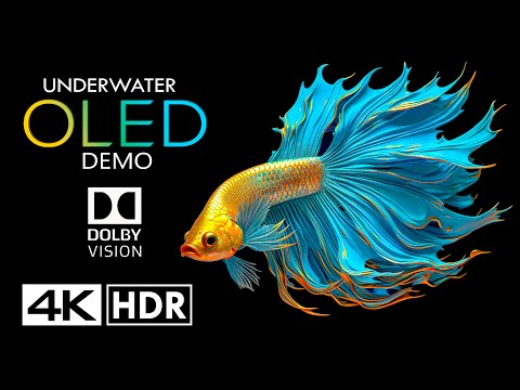 World of Underwater🐟OLED Dolby Vision 4K HDR 60FPS (4K Video)