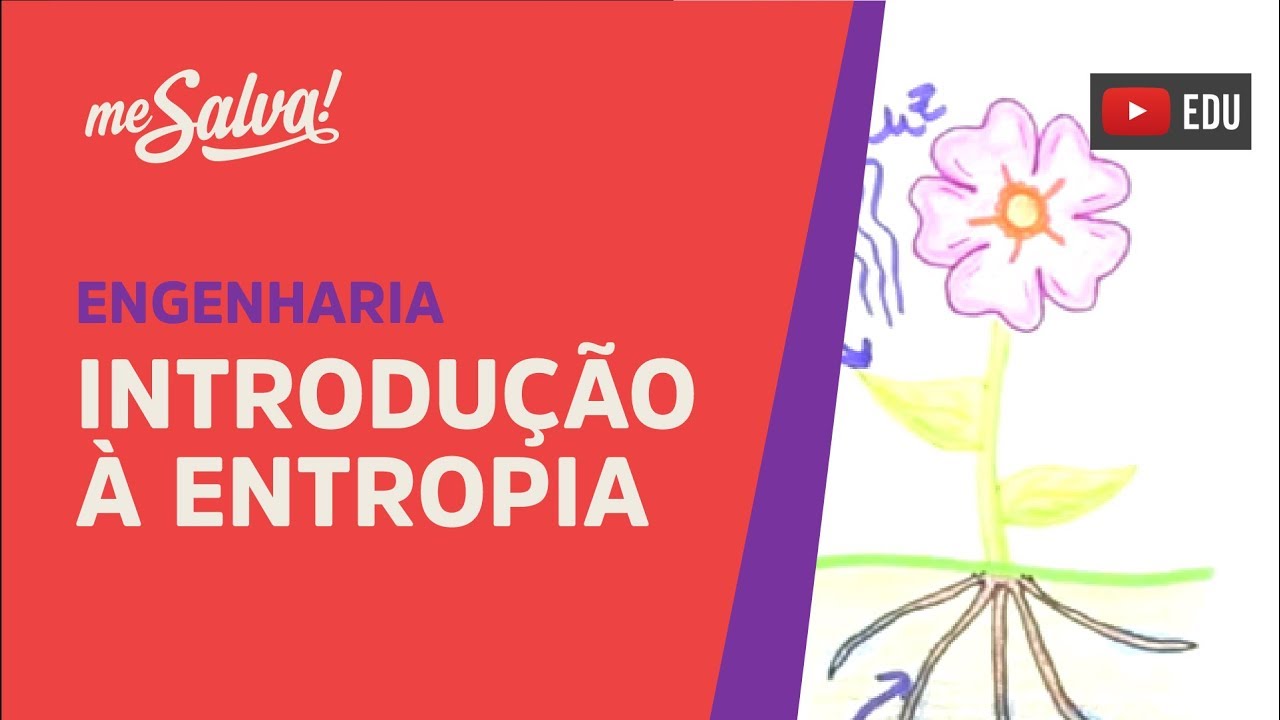 Me Salva! ETR01 - Introduzindo a Entropia - Termodinâmica