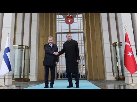 أردوغان يطلب من البرلمان التركي المصادقة على طلب انضمام فنلندا إلى حلف شمال الأطلسي • فرانس 24