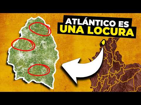 35 Datos Salvajes Sobre Atlántico Que No Sabías