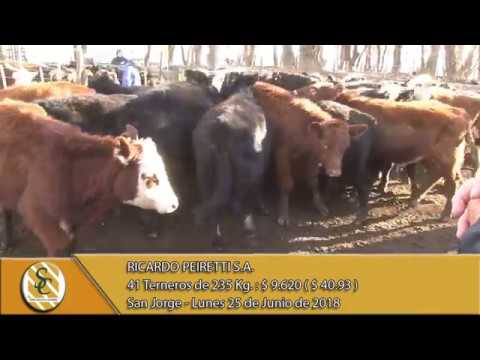 25-06-18 Venta de Machos - Ricardo Peiretti S.A. - San Jorge